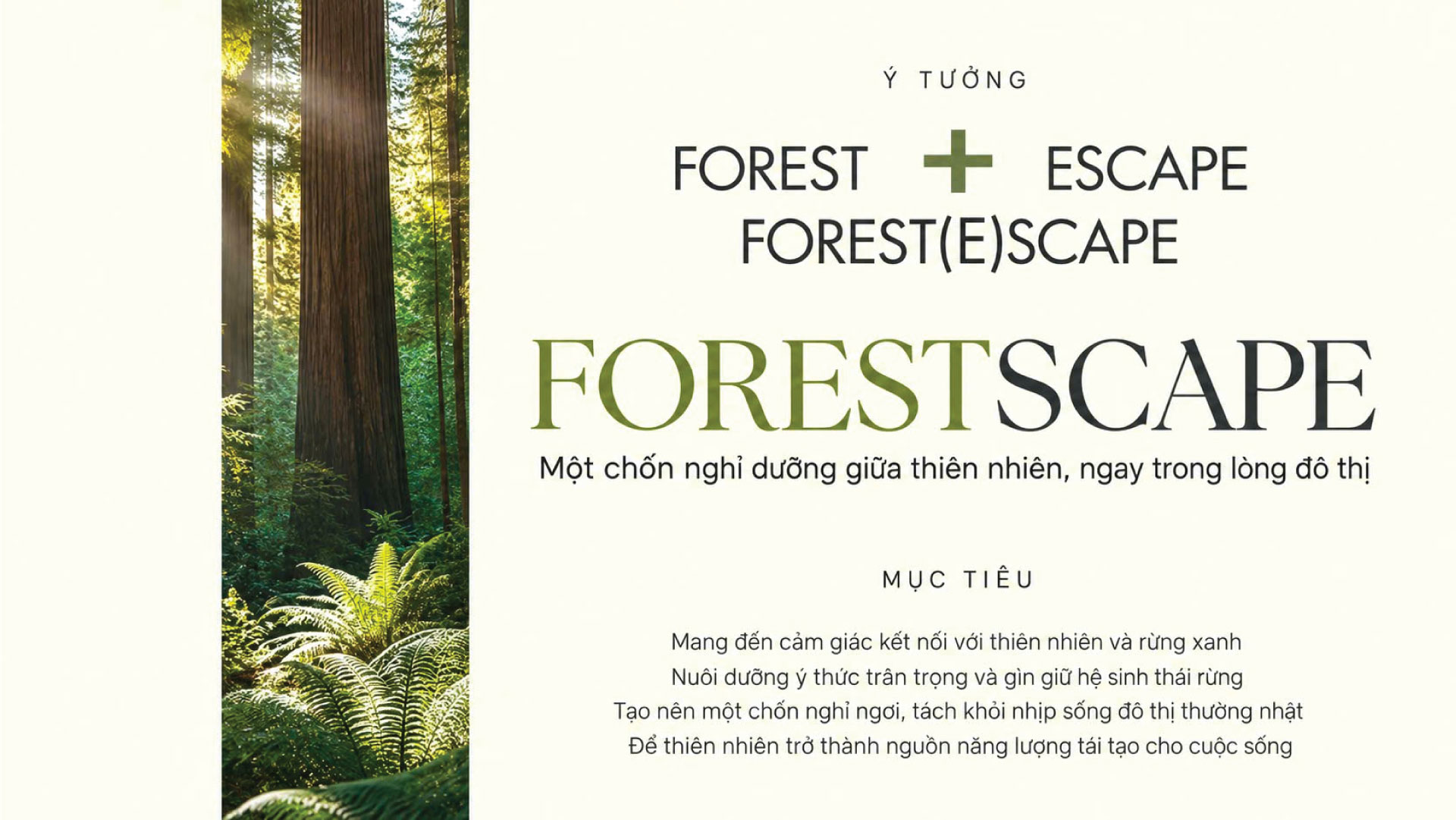 Triết Lý “Forestscape” – Tái Định Nghĩa Chuẩn Mực Nghỉ Dưỡng Giữa Lòng Đô Thị